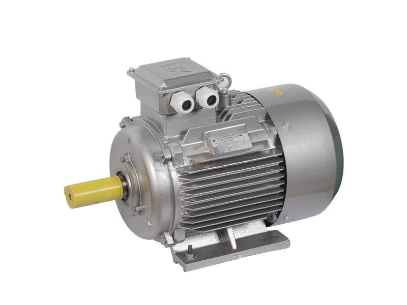 Электродвигатель асинхронный 3ф. АИР 160M6 660В 15кВт 1000об/мин (лапы) 1081 DRIVE IEK