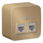 Розетка 2-ая компьютерная RJ45 кат.5E Blanca Schneider Electric титан изол.пластина